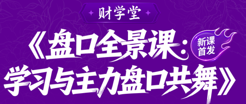 <strong>雨禾《盘口全景课：学习与主力盘口共舞》盘</strong>